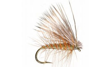elk hair caddis